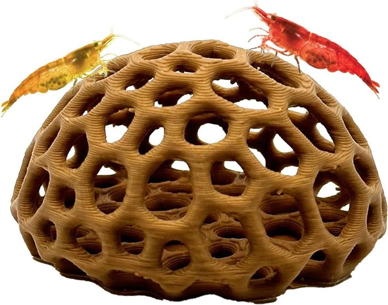 CTWPets Store Shrimp Dome Hide - Aquarium Cherry Shrimp Hide - Cherry Shimpe Hide (Light Brown) - Image 1